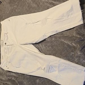 Torrid Jeans